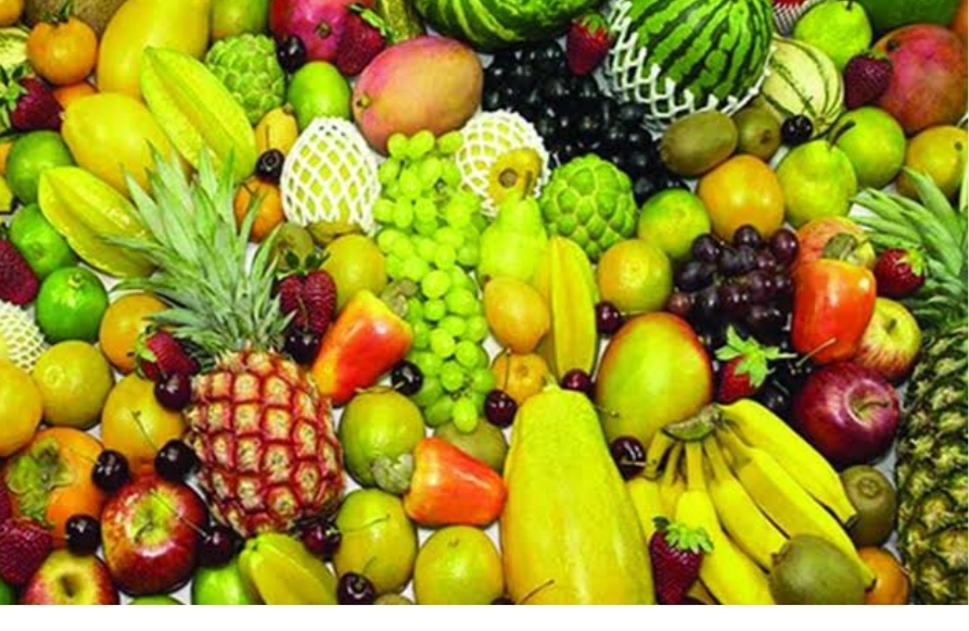 চুয়াডাঙ্গায় তিন দিনব্যাপী ফল মেলা-২০২৫ উদ্বোধন অনুষ্ঠিত।