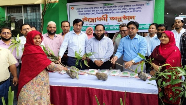 রাজশাহীর পবায় বিনামূল্যে গাছের চাড়া বিতরণ।