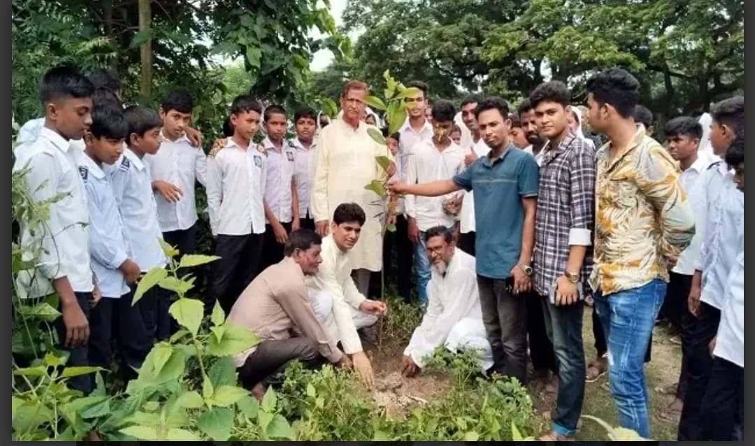 ঝিনাইদহের হরিণাকুণ্ডুতে গাছের চারা রোপন ও বিতরণ।