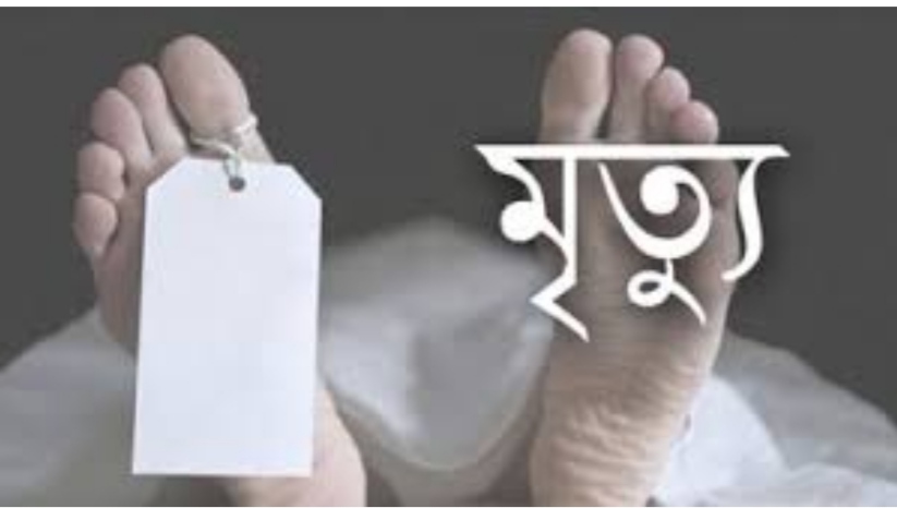 রাজশাহীর তানোরে সাপের কামড়ে কৃষকের মৃত্যু।