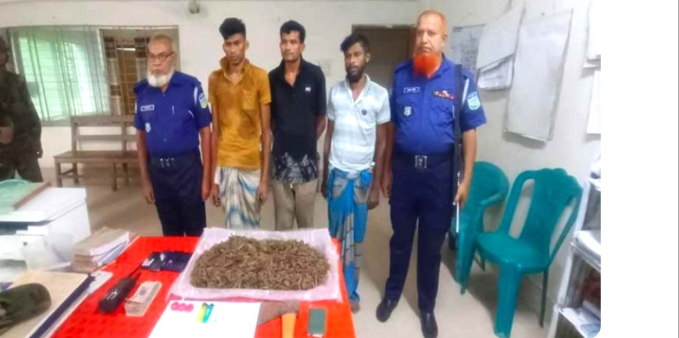 সরিষাবাড়ী উপজেলায় যৌথ বাহিনীর অভিযানে ৩ মাদক ব্যবসায়ী আটক।