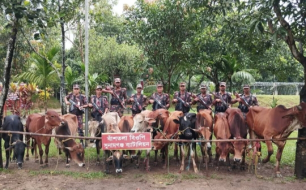সুনামগঞ্জের দোয়ারাবাজার উপজেলায় ১৪টি ভারতীয় চোরাই গরু আটক করেছে বিজিবি।