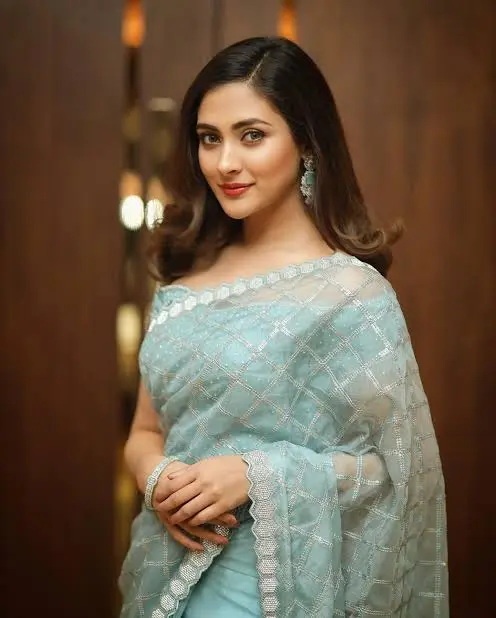 মাদককাণ্ডে মুখ খুললেন মেহজাবীন