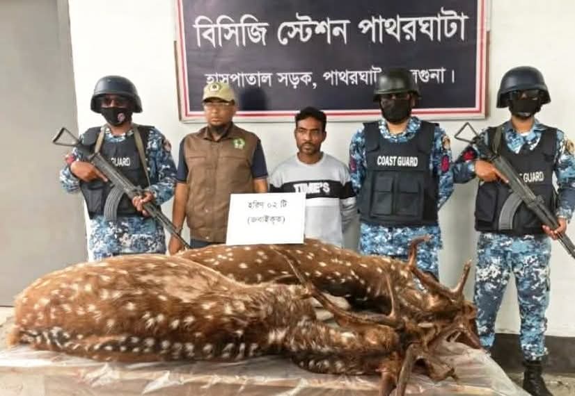 বরগুনার পাথরঘাটায় জবাই করা দুটি হরিন ও ফাদসহ শিকরী আটক ১ বছরের কারাদণ্ড