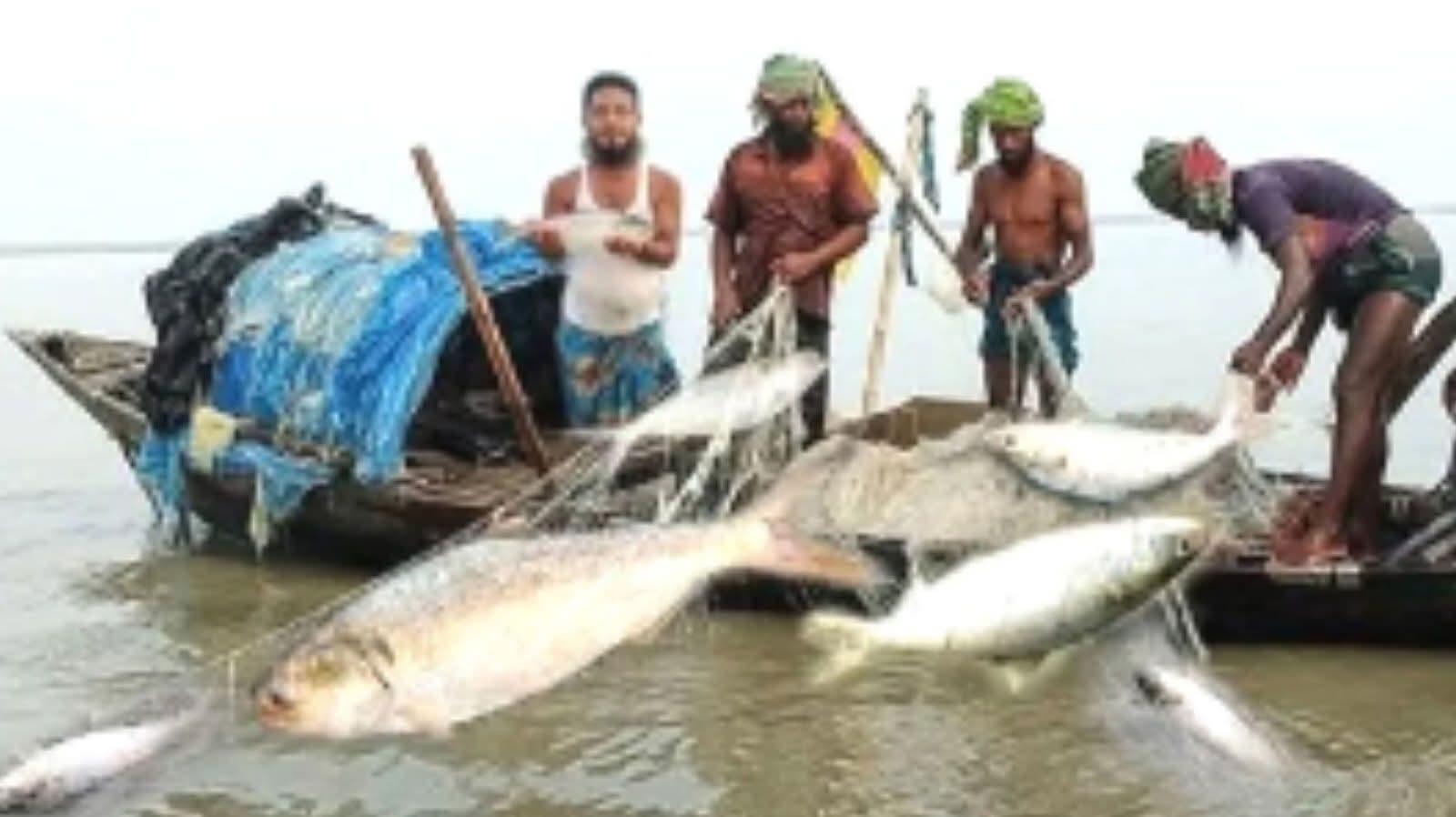 বঙ্গোপসাগরে ৫৮ দিনের মাছ ধরায় নিষেধাজ্ঞা জারি 