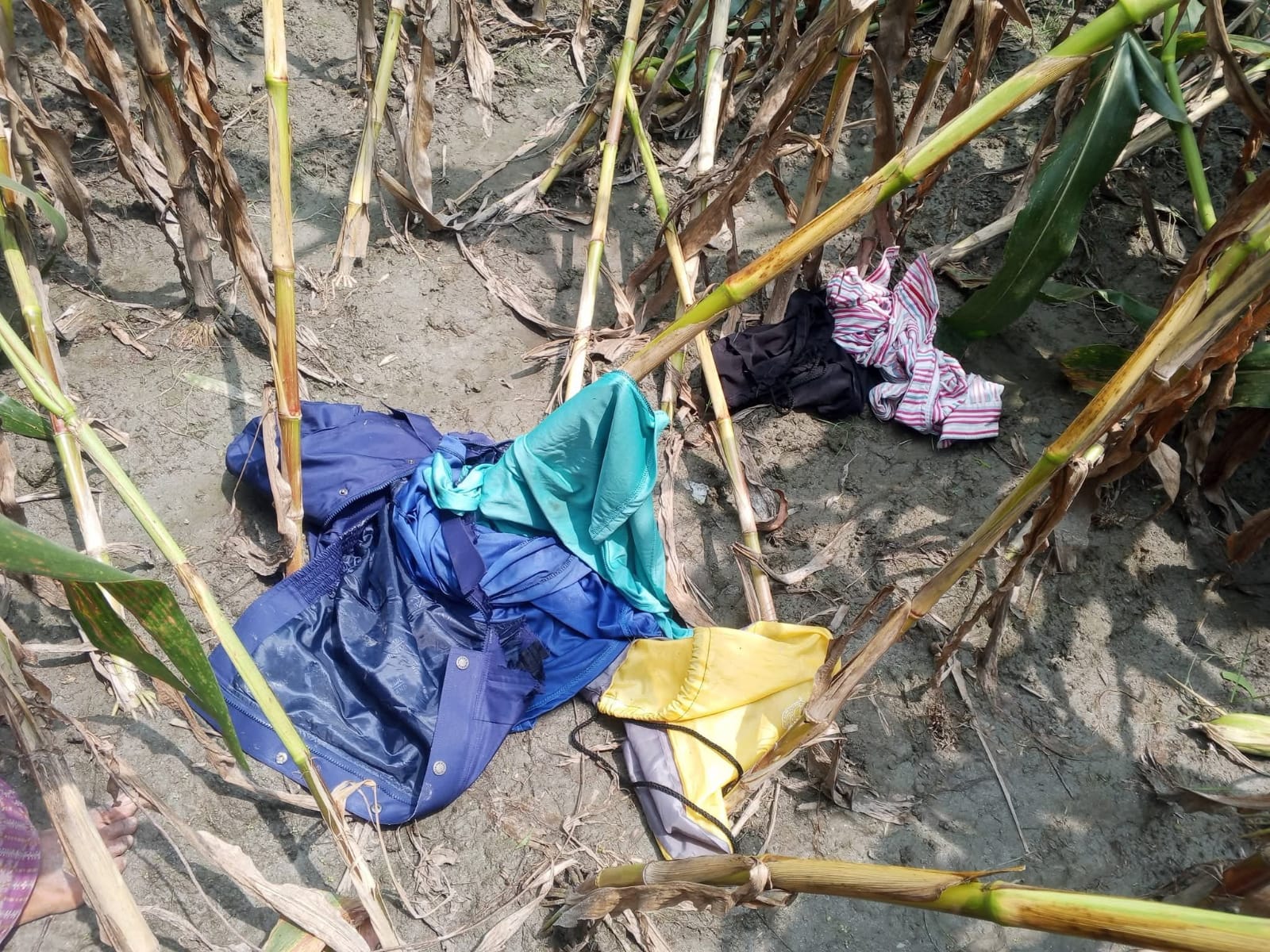ডিমলায় ভুট্টাখেত থেকে পুলিশের পোশাক ও সরঞ্জাম উদ্ধার