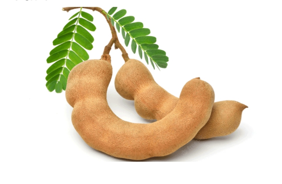 অনেক উপকারী ফল তেতুল
