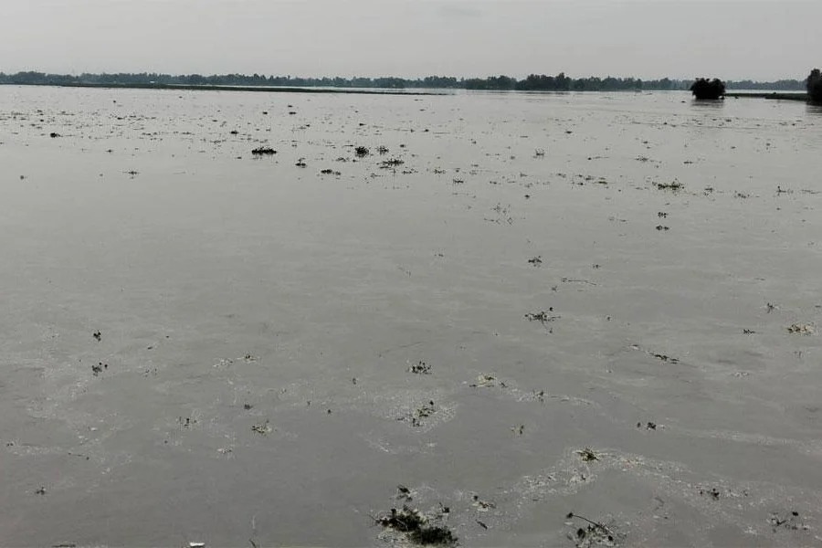 দুধকুমার নদের পানি বিপৎসীমার ২৩ সেন্টিমিটার ওপরে