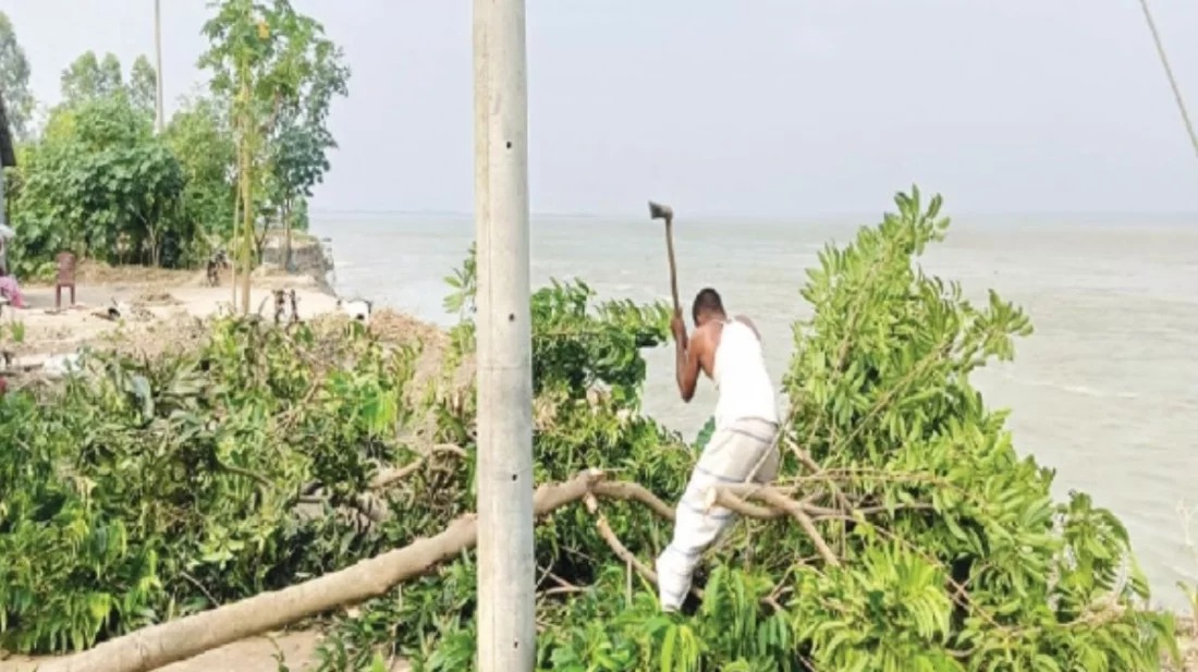 চিলমারীতে ব্রহ্মপুত্রে বিলীন ২৫ বসতঘর, আতঙ্কে তীরবর্তী মানুষ