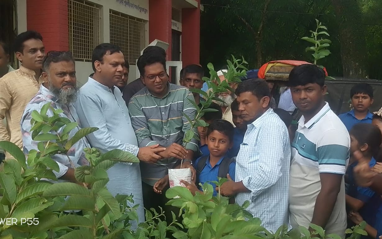 সবুজ বাংলাদেশ গড়ার বার্তা জামান ফাউন্ডেশনের” কুলিয়ারচরে শিক্ষার্থীদের মাঝে ফলজ গাছের চারা বিতরণ