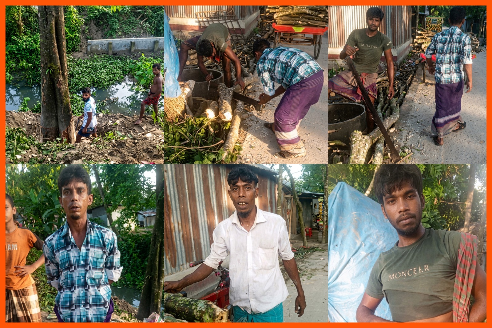 গণমাধ্যমে সংবাদ প্রকাশের পরও টনক নড়েনি সংশ্লিষ্ট কর্তৃপক্ষের;কুলিয়ারচরে একই স্থান থেকে ফের সরকারি গাছ কাটার অভিযোগ