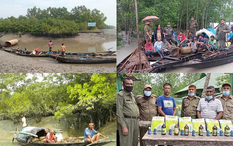 পশ্চিম সুন্দরবনের বন অপরাধের লাগাম টানতে হিমশিম বন বিভাগ: দুই মাসে ৮৯ মামলা