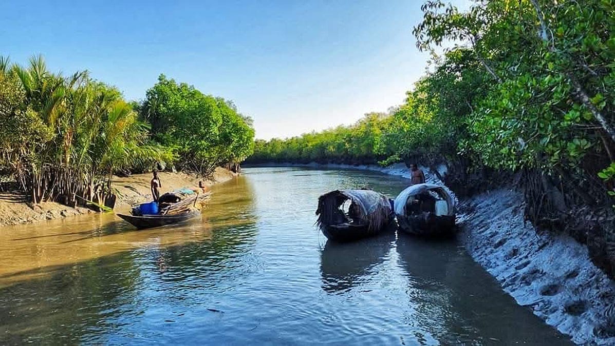 তিন মাসের নিষেধাজ্ঞা শেষে প্রাণচাঞ্চল্যে সুন্দরবন: ১ সেপ্টেম্বর থেকে সবারর জন্য উন্মুক্ত ‎