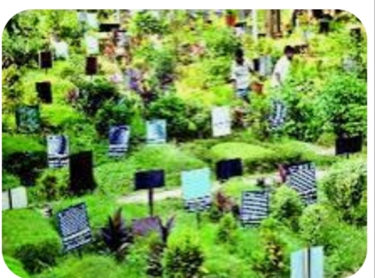 শেষ আশ্রয়েও দখলের থাবা, কবরস্থানের জমি নিয়ে উত্তপ্ত ইসলামপুর