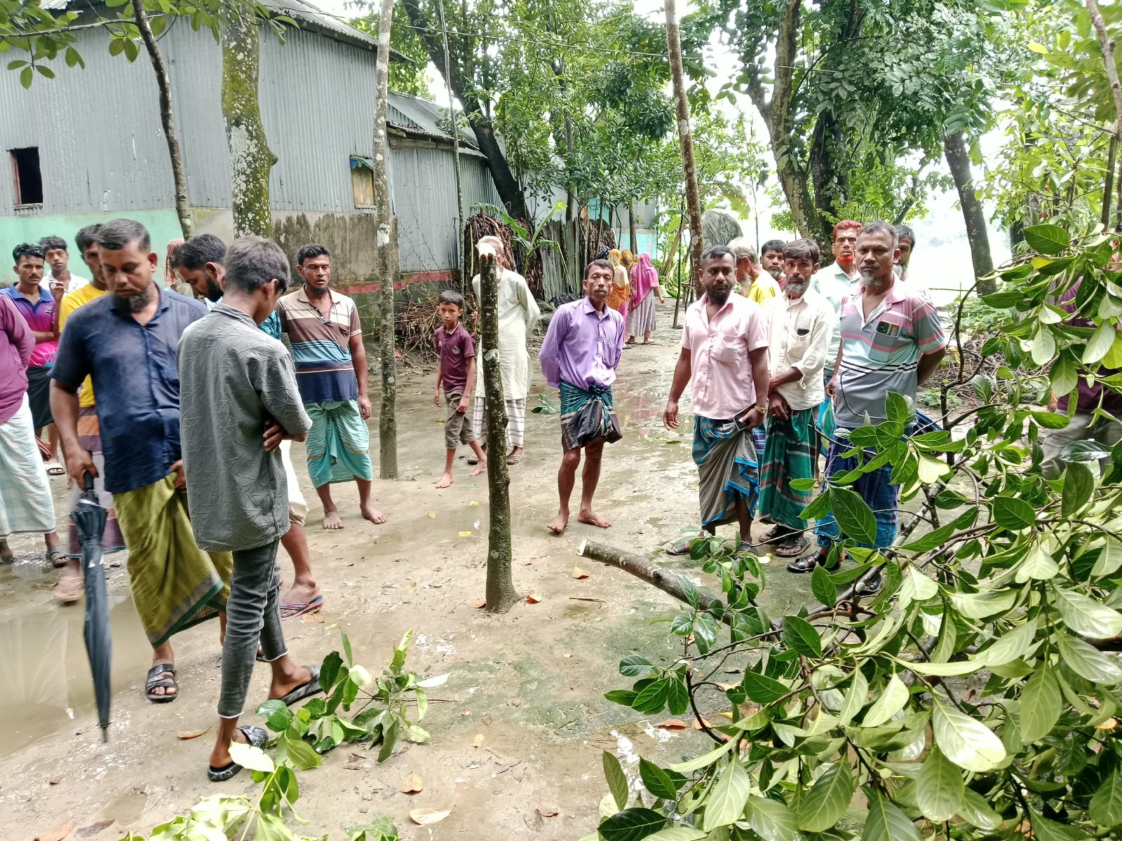 কুলিয়ারচরে রাতের আঁধারে দুই কৃষকের ২৫-৩০টি ফলজ ও বনজ চারা গাছ কেটে একাকার করে দিয়েছে দূর্বৃত্তরা