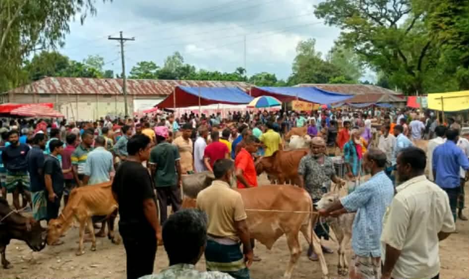 ভাউলাগঞ্জ হাটে অতিরিক্ত টোল আদায়, ইজারাদারকে ২০ হাজার টাকা জরিমানা