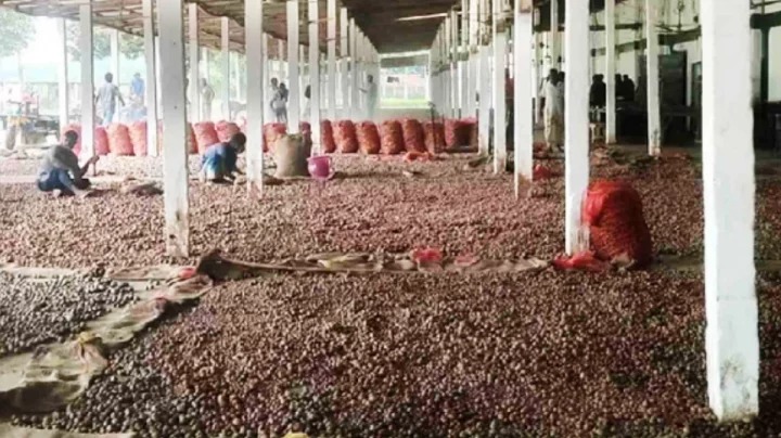 সৈয়দপুরে লোডশেডিংয়ে আলু নিয়ে শঙ্কা