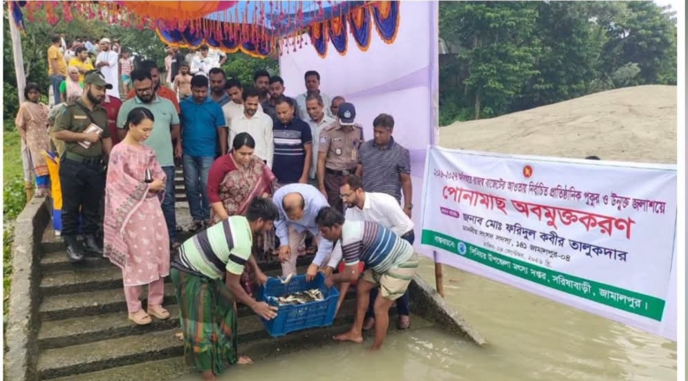 জামালপুরের সরিষাবাড়ীতে বিভিন্ন জলাশয়ে পোনামাছ অবমুক্তকরণ কার্যক্রমের উদ্বোধন