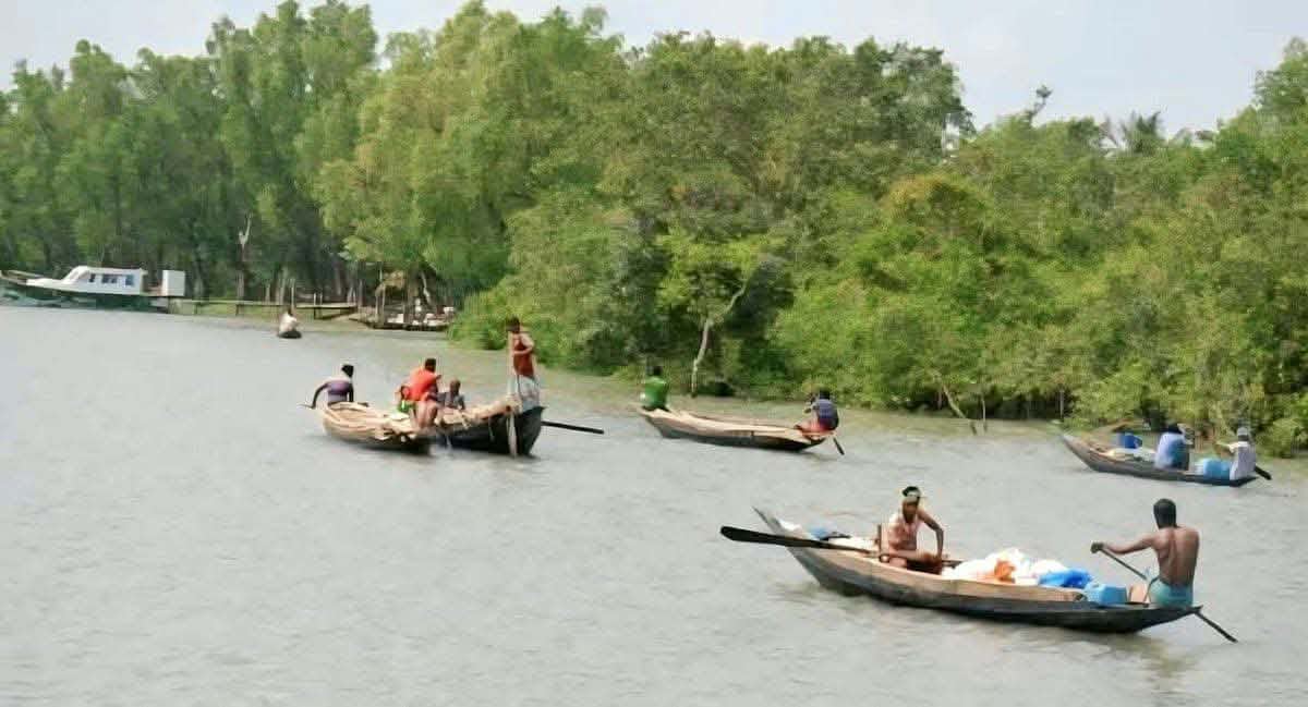 মা ইলিশ রক্ষায় জেলেদের জন্য ২২ দিনের নিষেধাজ্ঞা আজ থেকে কার্যকর