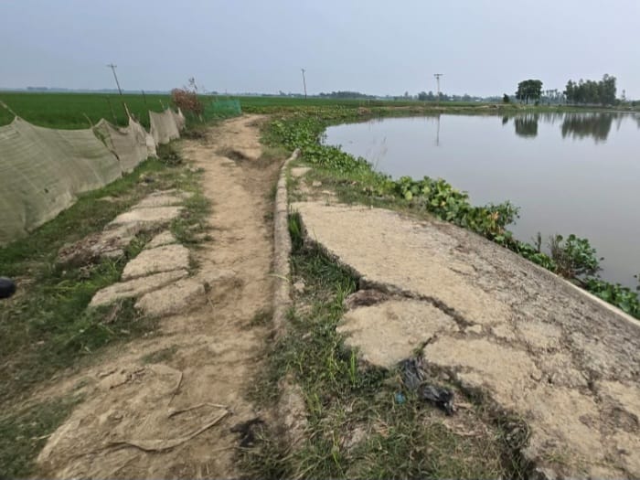 লাখাইয়ে বলভদ্র নদীর ভাঙনে বিলীন কৃষ্ণপুর সড়ক চরম দুর্ভোগে এলাকাবাসী ও শিক্ষার্থীরা