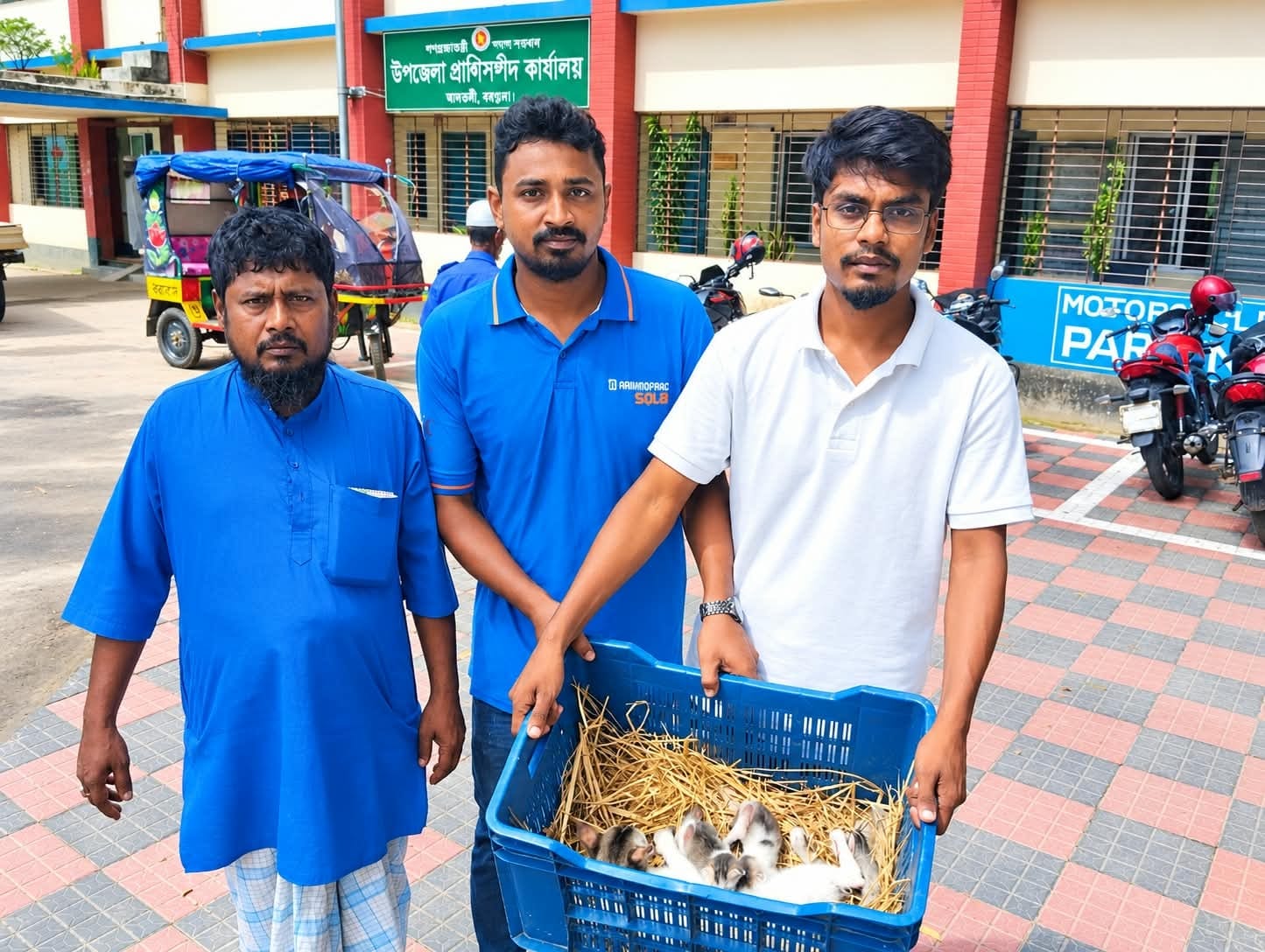 আমতলীতে আহত বিড়ালের চিকিৎসা নিশ্চিত করলেন রিয়াজুল ও রাকিবুল