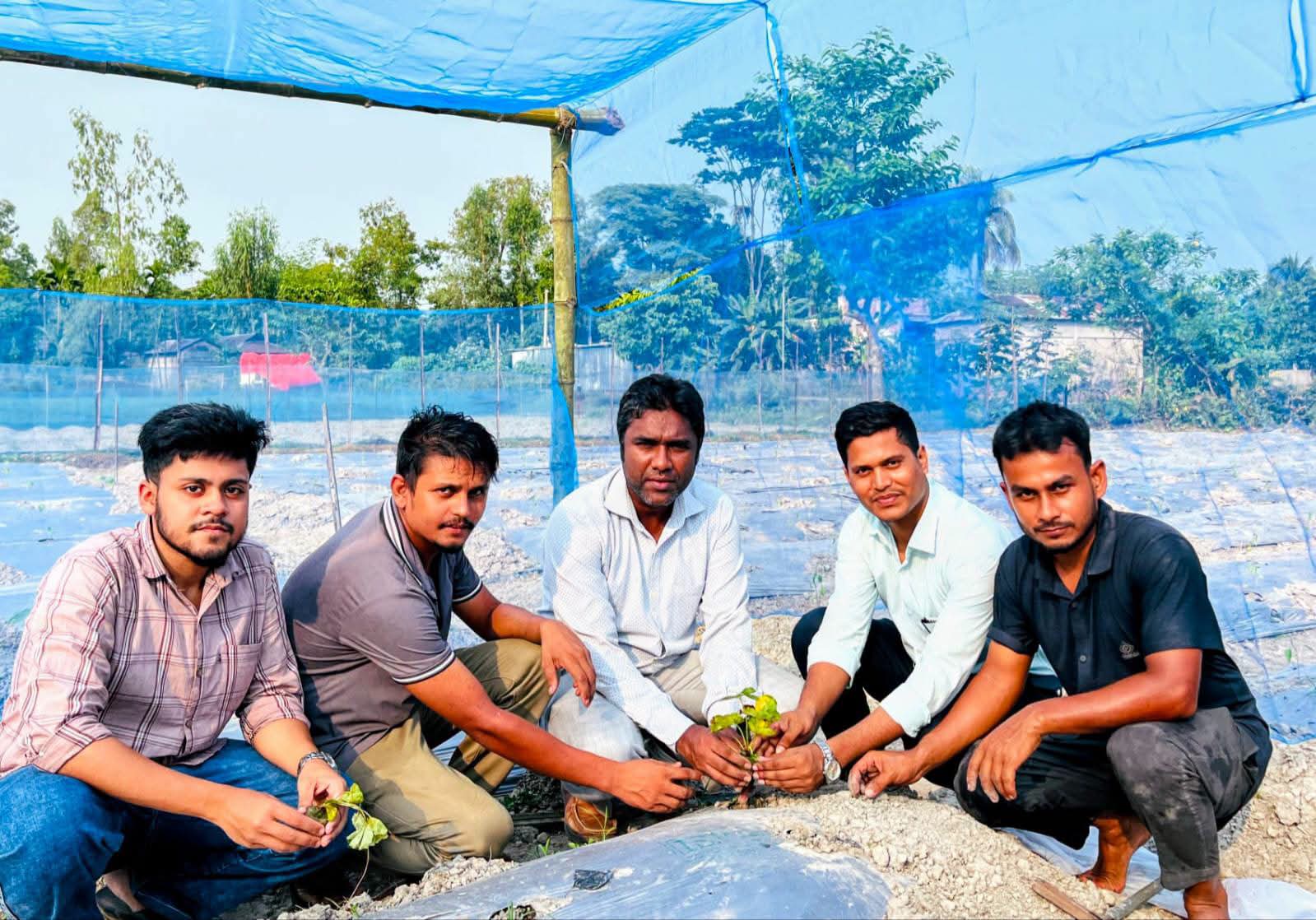 লাখাইয়ে প্রথমবারের মতো আমেরিকান ফেস্টিভ্যাল জাতের স্ট্রবেরি চাষের শুভ সূচনা