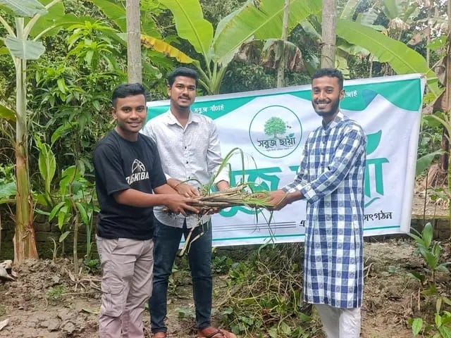 আমতলীতে তরুণ উদ্যোক্তা গড়তে ২০০ আখের চারা বিতরণ করল সবুজ ছায়া যুব সংগঠন